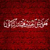 mzaede19972024