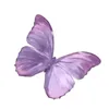 blinkcute7772