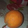 ismail.chrifa
