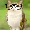 flok.okok