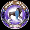 🫅Aramis originalu🫅