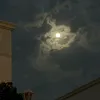 narjis.alsaedi6