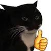 user6188077580869