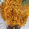 bashirahmad3041