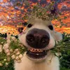 yaaaaaaaaaaahaaaaaaaaaaa