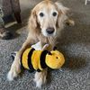 hucknheidi
