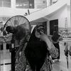 dianrchmaa23