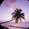 harleen_yyc4