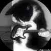 marcuseissah