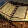 md.arifulislam782