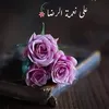 bluebuird.alawi