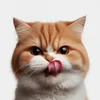 NekoManma