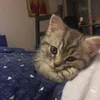 tnhan_76