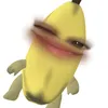 sqxuzi