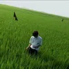 ne0._1