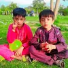 nazim.hussain832