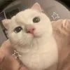 itzurgirltim