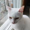 egor_m_9