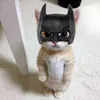 greg_12304
