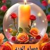 user5381610980205