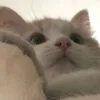 eisha_.cutii