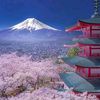 viaaanihonjin