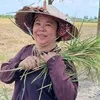 h.n.khnh.linh