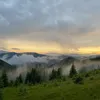 daniofcs