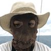 odonnnaee