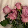 pr.in_cess1369