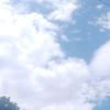 poojadhawal79