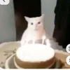 gpozinigp_885