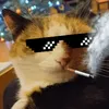 vsivd4