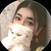 asla_koko