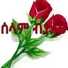 dese_alex19