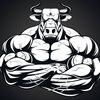 bull56340