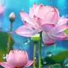 m.trinh914