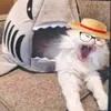 itzz_strawhat