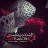 zainab.ash5