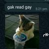 aa_a.k