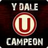 user7887743888483