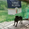 canuantonio58