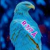 rukhsar.afridi637