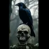 crowkey595