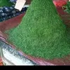 el_larose