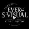 ever_svisual