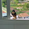 juliana.larrosa0