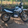9431alejandro