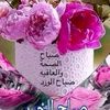 elsaid.elmahdy