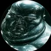 koletheguy